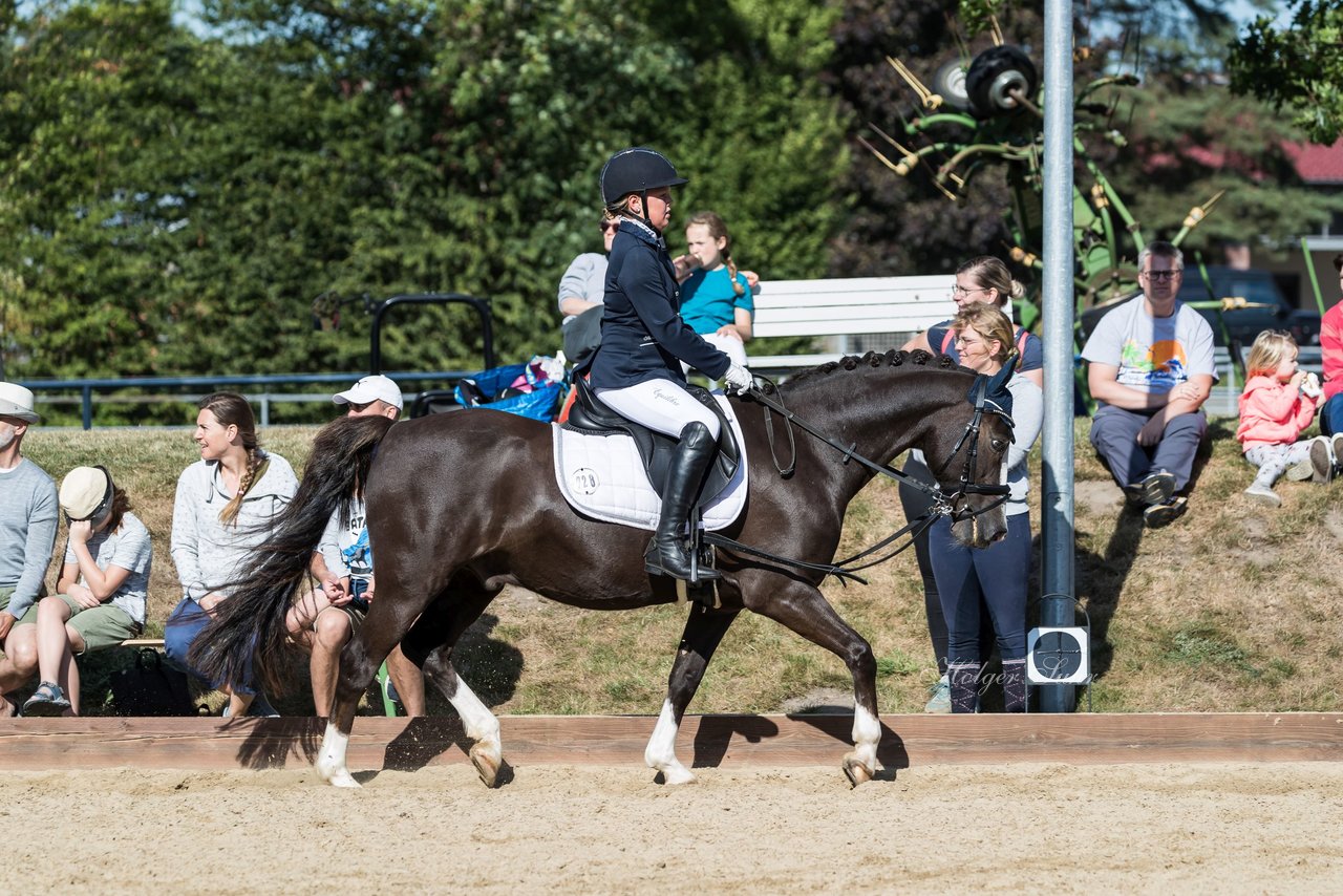 Bild 40 - Pony Akademie Turnier